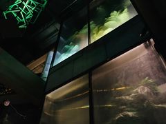 -柒Lounge(三里屯店)