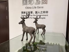 -国寿嘉园·苏州雅境