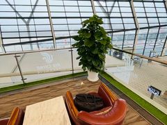 -浦东机场国航头等贵宾室