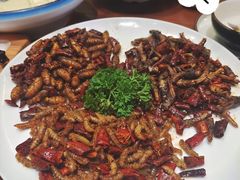 -老滇山寨•云南特色菜•地方菜•民族风情歌舞表演(金碧店)