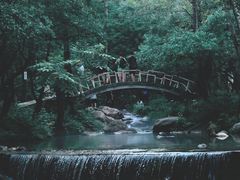 -玉渡山自然风景区