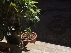 -五花石之旅客栈