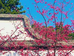 -乌山风景区