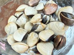 -楼上大排档·顺德菜·粥水·鱼生(苗栗路店)