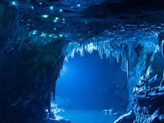 -沈家花园如皋菜(海阳路店)