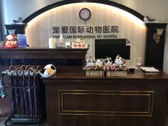 -宠爱国际动物医院·消化内科·心肾内科·ISFM猫友好(望京店)