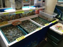 -西归浦每天偶来市场