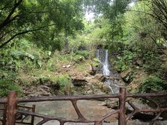 -大雁山风景区