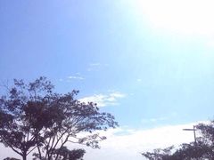 QQ图片20141022173520-太湖湾开元名庭大酒店