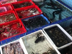 龙虾-霞涌市场海鲜摆卖区