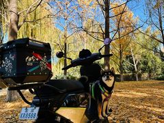 -九号电动车(安定门内大街店)