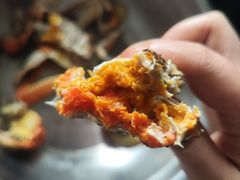 大闸蟹母蟹-七的湖·江南蟹舫·阳澄湖农家菜(蟹舫苑店)