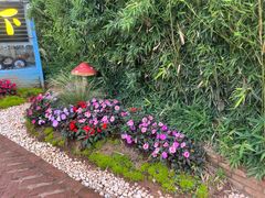 -蘑统田下·野生菌火锅