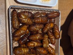 -鸽子窝(黄村店)