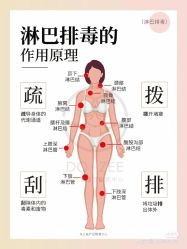 点击看大图 -玛莲朵·海菲秀冰珀科