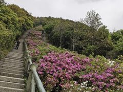 -梧桐山风景名胜区