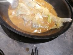 -肥鱼屯活鱼锅(惠工街店)