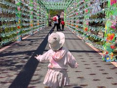 -武汉紫薇都市田园