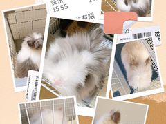 -小意思咖啡店(草桥店)
