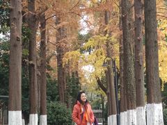 -苏州大学(天赐庄校区)