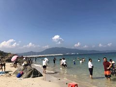 -杨梅坑