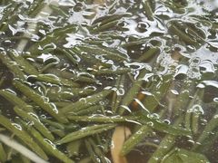 -协和菜馆(凤凰街店)