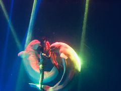 -芜湖新华联大白鲸海洋公园