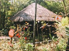 -三亚珠江南田温泉度假区