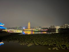 -曹州牡丹园