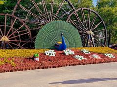 -呀路古热带植物园