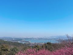 -香雪海