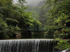 -大奇山国家森林公园