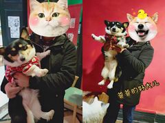 -猫色咖啡·猫咖