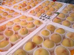 -葑门横街