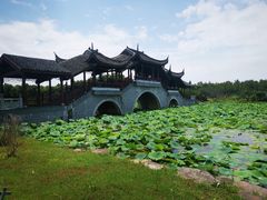 -上海海湾国家森林公园