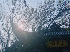 -綦江古剑山