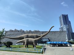 -安徽省地质博物馆