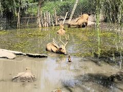 -溱湖国家湿地公园