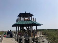 -北海金海湾红树林生态旅游区