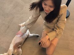 -赛卡联盟WSK卡丁车俱乐部