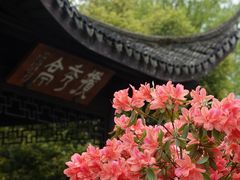 -杭州植物园