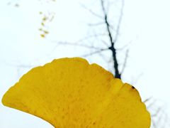 景点-四川美术学院美术馆