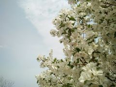 -永定河休闲森林公园