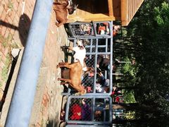 -长白岛森林公园