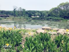 -同里国家湿地公园