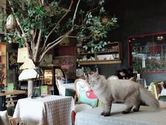 -董小姐咖妃·咖啡·简餐.意面(松江大学城店)