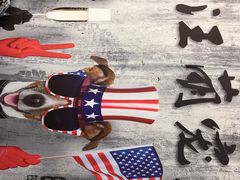 -喵汪萌宠屋旗舰店.洗澡美容.猫狗基地