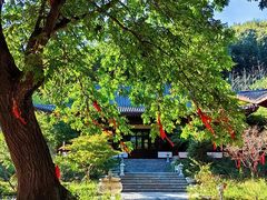 -大伊山景区