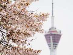 -红星桥(地铁站)