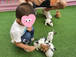 -萌宠亲子动物乐园(槐房万达店)